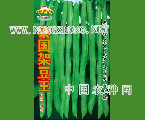 泰国架豆王